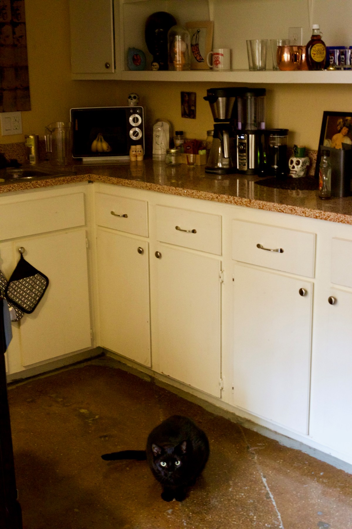 Bacchus in the kitchen