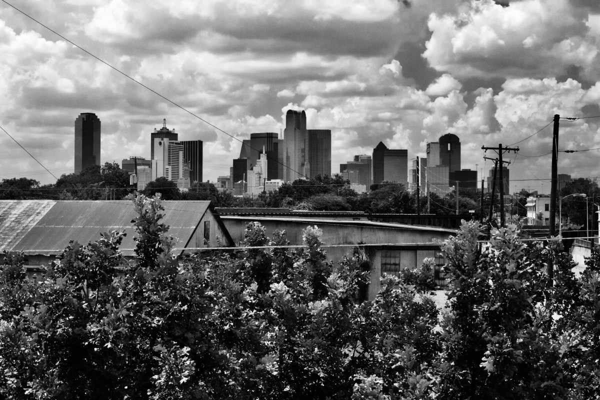 Dallas skyline from the rooftop