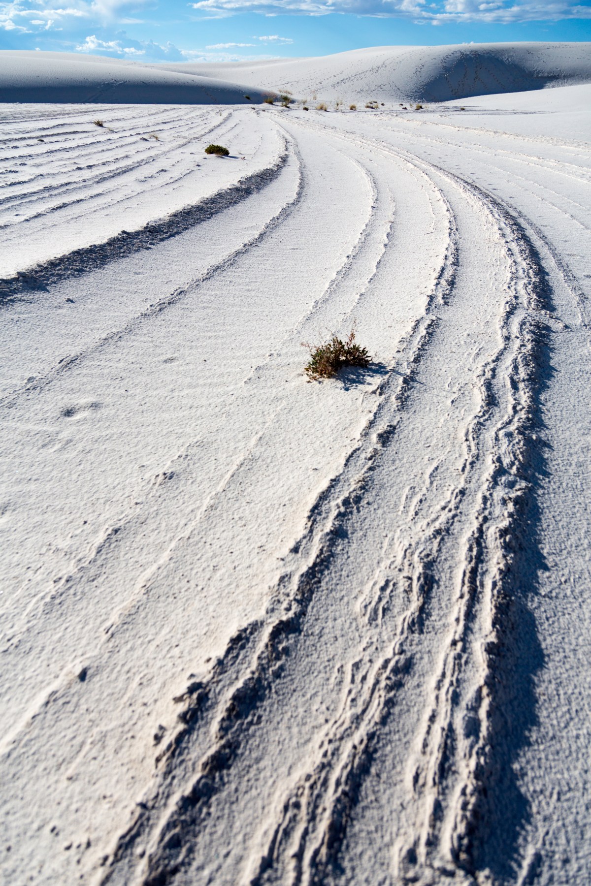 Unreal (White Sands)